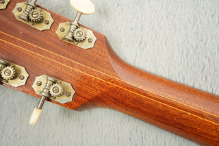 1964 Levin 335 - Sunburst | Ace - Skunk Anansie Collection