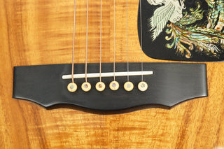 1996 Guild DK-70NT Peacock