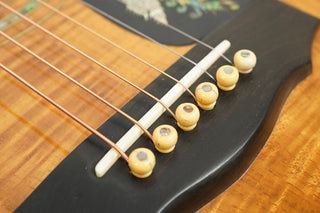 1996 Guild DK-70NT Peacock