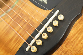 1996 Guild DK-70NT Peacock