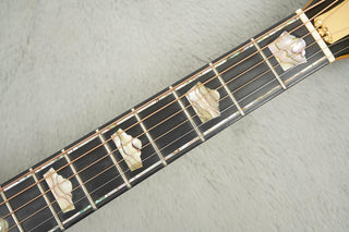 1996 Guild DK-70NT Peacock