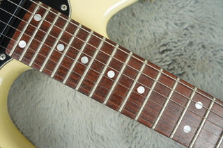 1992 Valley Arts Larry Carlton (signed) Standard Pro