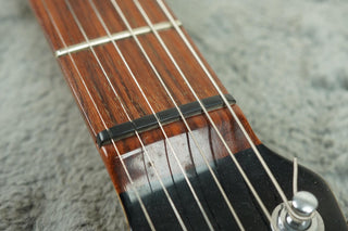 1992 Valley Arts Larry Carlton (signed) Standard Pro