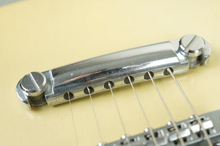 1992 Valley Arts Larry Carlton (signed) Standard Pro