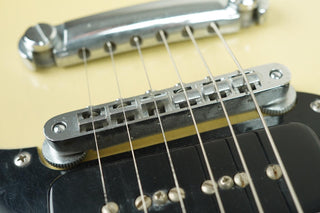 1992 Valley Arts Larry Carlton (signed) Standard Pro