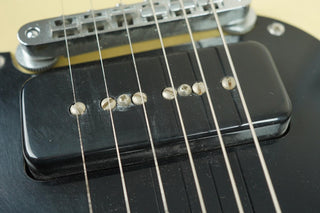 1992 Valley Arts Larry Carlton (signed) Standard Pro