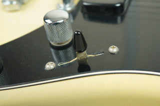 1992 Valley Arts Larry Carlton (signed) Standard Pro