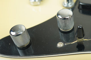 1992 Valley Arts Larry Carlton (signed) Standard Pro