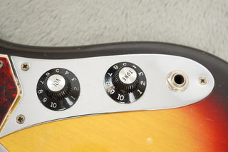 1966 Fender Electric XII + OHSC