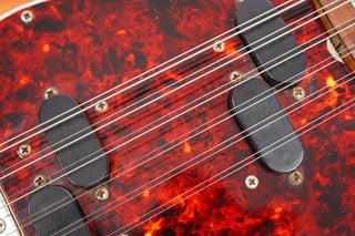 1966 Fender Electric XII + OHSC