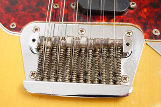 1966 Fender Electric XII + OHSC