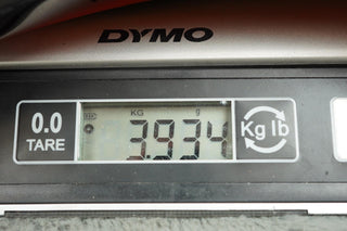 1966 Fender Electric XII + OHSC