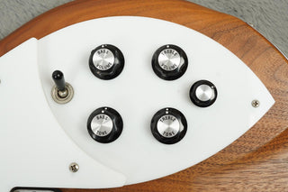 2018 Rickenbacker 360W