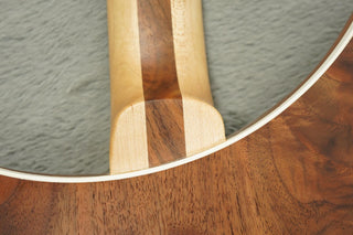 2018 Rickenbacker 360W