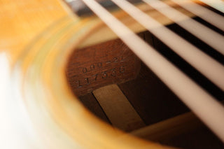 1950 Martin 000-21 + HSC