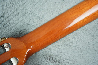 Manuel Ramundo Classical Guitar